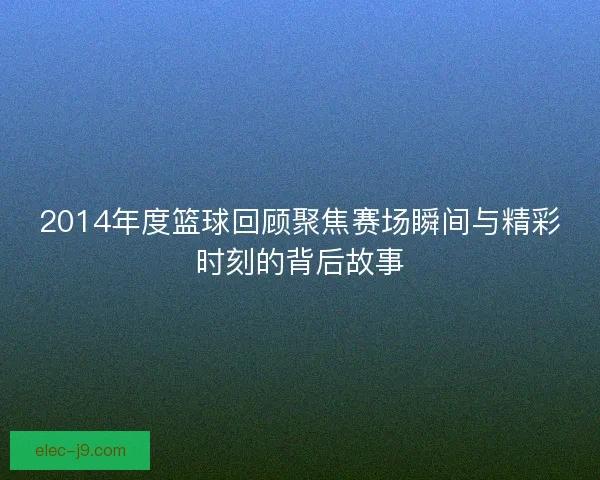 2014年度篮球回顾聚焦赛场瞬间与精彩时刻的背后故事