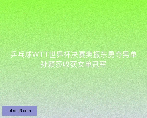 乒乓球WTT世界杯决赛樊振东勇夺男单孙颖莎收获女单冠军